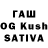Псилоцибиновые грибы Magic Shrooms Patt Dogg