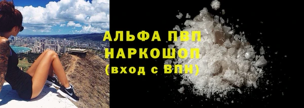 индика Бронницы