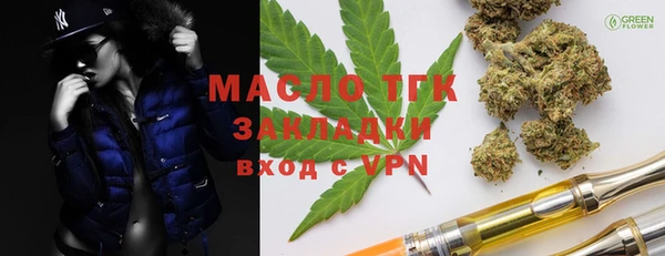 индика Бронницы