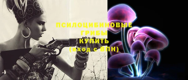 прущая мука Богородск