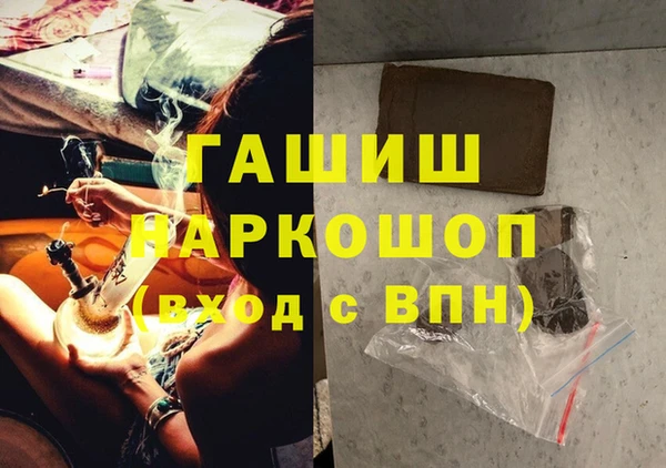 индика Бронницы