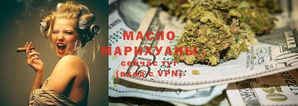 индика Бронницы