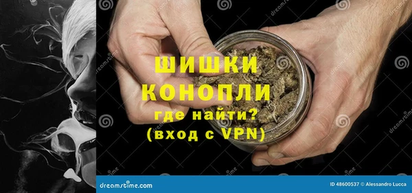 индика Бронницы