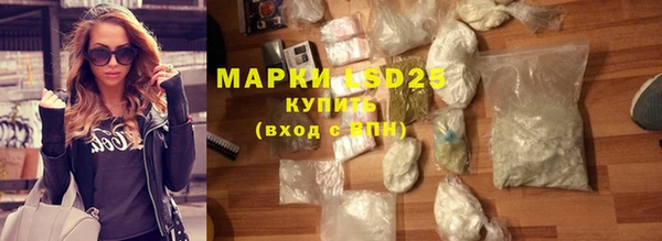 индика Бронницы