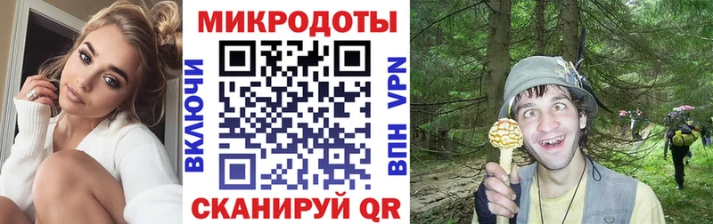 Псилоцибиновые грибы Cubensis  Дагестанские Огни 