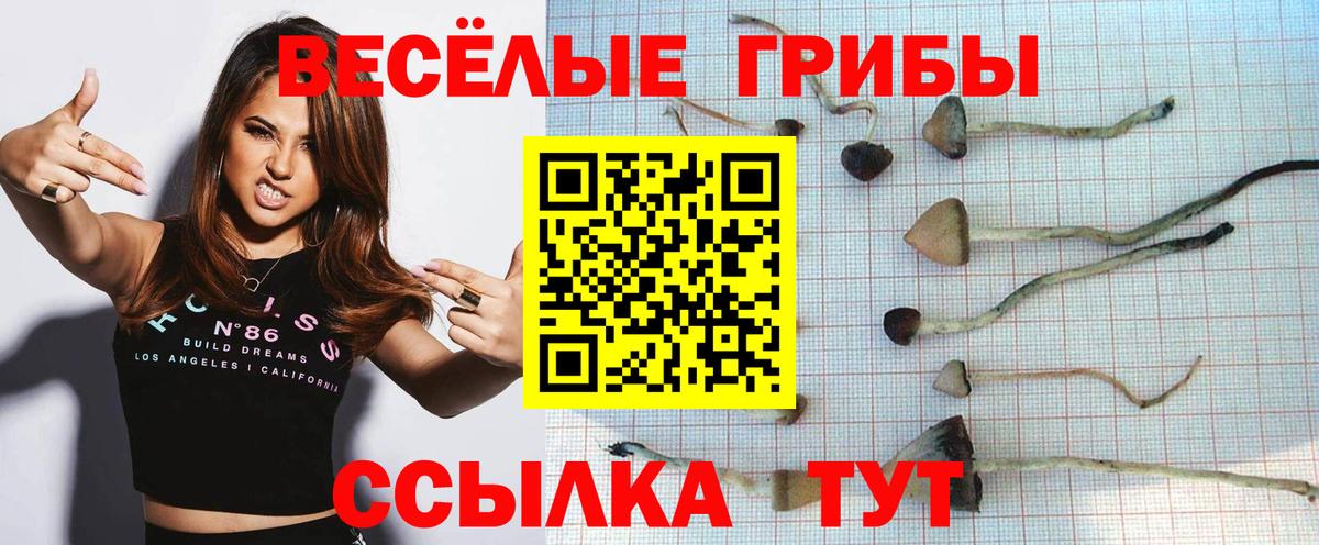 Дагестанские Огни  Галлюциногенные грибы MAGIC MUSHROOMS  цены   Псилоцибиновые грибы ЛСД  Вход с VPN 